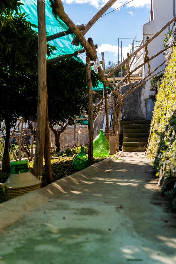 Casa Primula Villa Amalfi Exterior foto